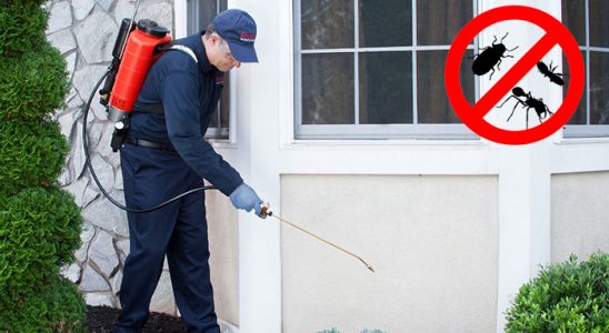 Yurdoğlu Kene İlaçlama böcek ilaçlama ve haşere kontrolü — ilaclama-tr.com